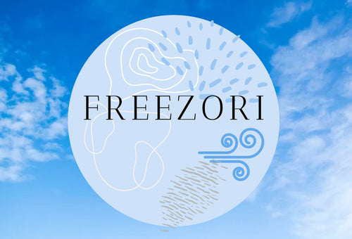 Freezori Store